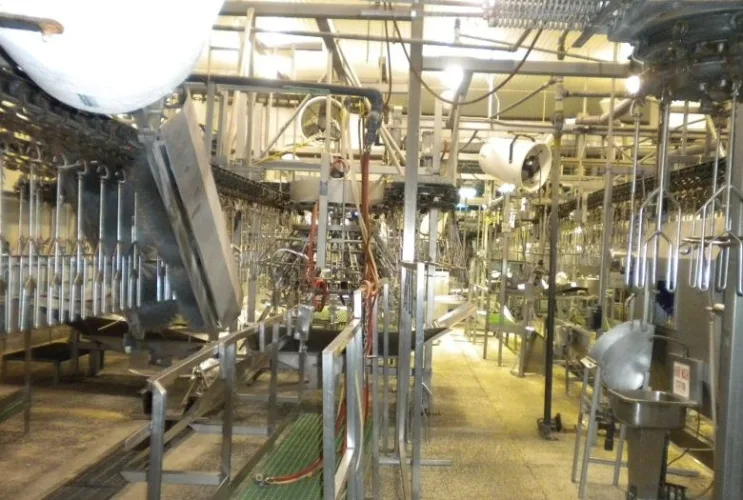 Photo #21 of SURPLUS EQUIPMENT FROM THE ONGOING OPERATIONS OF CRIDER, INC.