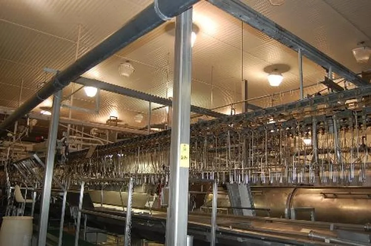 Photo #47 of SURPLUS EQUIPMENT FROM THE ONGOING OPERATIONS OF CRIDER, INC.