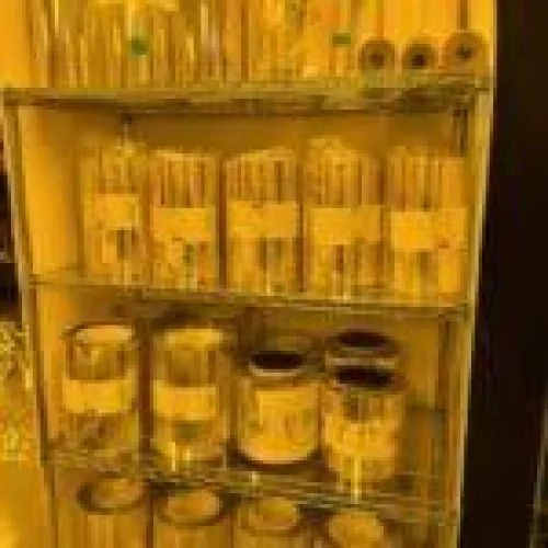 Photo #43 of META Material Technologies Inc. A State-of-the-Art facility for Functional Materials and Nanocomposites