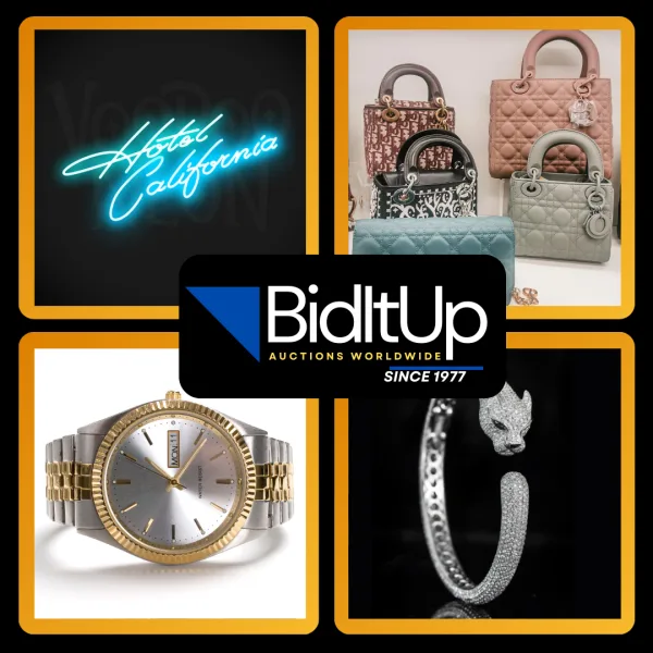 Luxury Auction Bid It Up