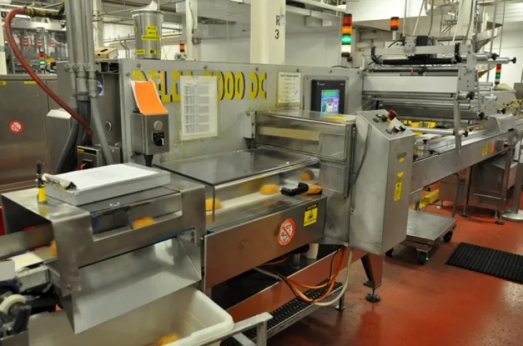 Photo #8 of MEAT PROCESSING & PACKAGING EQUIPMENT OF ADVANCEPIERRE BARBER FOODS