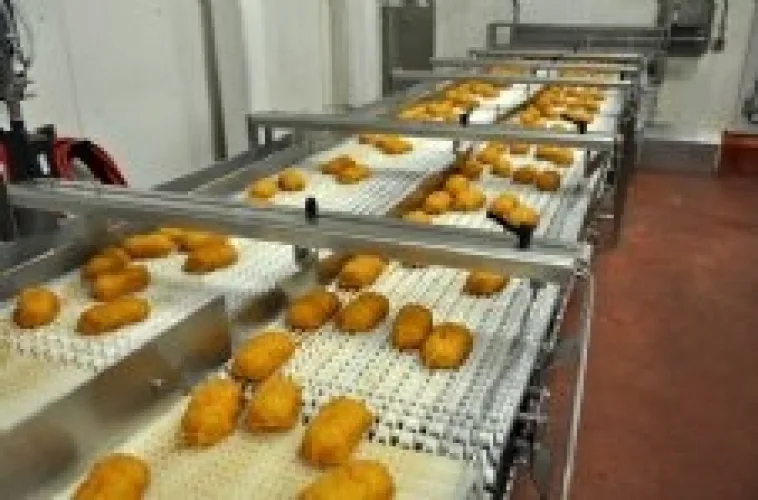 Photo #10 of MEAT PROCESSING & PACKAGING EQUIPMENT OF ADVANCEPIERRE BARBER FOODS
