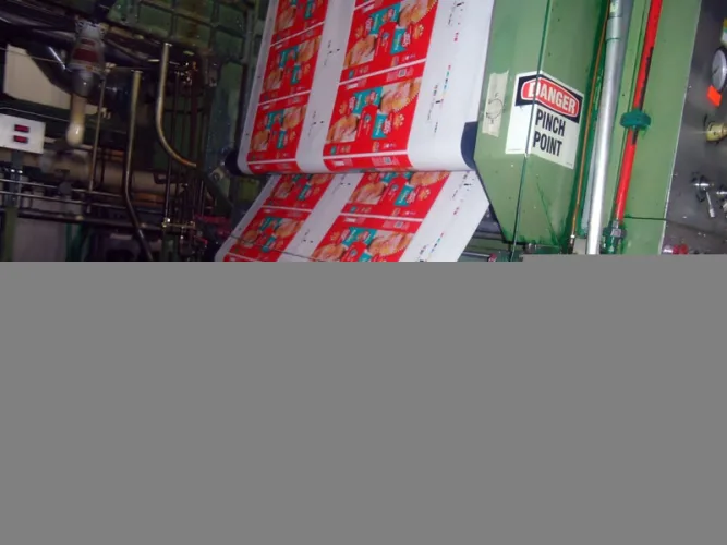 Photo #14 of ASSETS FORMERLY OF DIVERSAPACK LLC: COMPLETE 225,000 SQ. FT BLOWN FILM EXTRUSION & PRINTING FACILITY