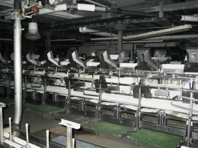 Photo #36 of FORMERLY OF OMTRON LLC (FORMER TOWNSEND POULTRY): POULTRY PRODUCTION & TRANSPORTATION EQUIPMENT