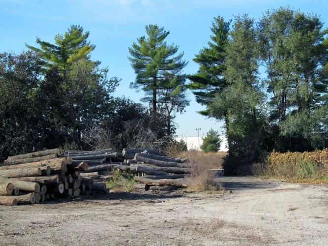 Photo #10 of FOR SALE BY PRIVATE NEGOTIATION - RICH HARDWOODS, INC.

	COMPLETE HARDWOOD DRY KILN OPERATION WITH DIMENSION PLANT AND REAL ESTATE