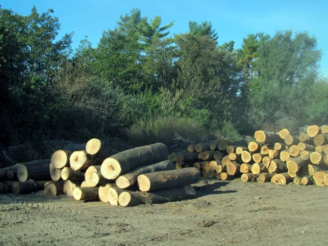 Photo #11 of FOR SALE BY PRIVATE NEGOTIATION - RICH HARDWOODS, INC.

	COMPLETE HARDWOOD DRY KILN OPERATION WITH DIMENSION PLANT AND REAL ESTATE