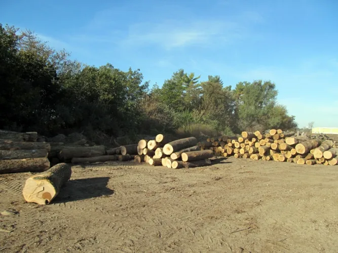 Photo #12 of FOR SALE BY PRIVATE NEGOTIATION - RICH HARDWOODS, INC.

	COMPLETE HARDWOOD DRY KILN OPERATION WITH DIMENSION PLANT AND REAL ESTATE
