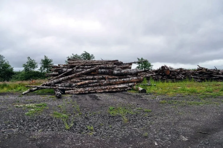 Photo #102 of DAY 1 - CLOSURE OF A COMPLETE MAJOR PAPER MILL - HARBOR PAPER: COMPLETE 2 LINE PAPER MILL, FINISHING DEPARTMENT, MACHINE & FAB SHOPS & MUCH MORE. GREAT DEMO & SCRAP OPPORTUNITY