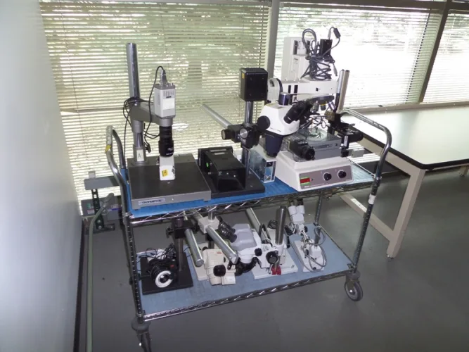Photo #62 of 2-DAY GLOBAL ONLINE AUCTION - DAY #2: ASSETS NO LONGER REQUIRED IN THE CONTINUED OPERATIONS OF QUANTUM, LEADER IN DATA PROTECTION AND BIG DATA MANAGEMENT SOLUTIONS TO INCLUDE HUNDREDS OF LOTS OF TEST & MEASUREMENT EQUIPMENT