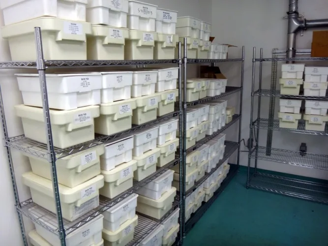 Photo #27 of SURPLUS TO ONGOING OPERATIONS OF ENDO PHARMACEUTICALS, A SPECIALTY PHARMACEUTICAL COMPANY ENGAGED IN R&D OF PRESCRIPTION DRUGS USED TO TREAT & MANAGE PAIN