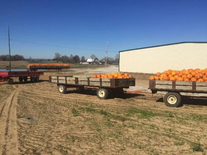 Photo #110 of BY ORDER OF RECEIVER, ASSETS OF KAMMAN'S FARMS, INC -  TRACTORS, BUSSES, TRUCKS, TRAILERS, IMPLEMENTS, ATTACHMENTS, SPRAYERS, IRRIGATION & PROCESSING EQUIP AND MORE!