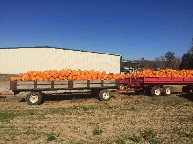 Photo #111 of BY ORDER OF RECEIVER, ASSETS OF KAMMAN'S FARMS, INC -  TRACTORS, BUSSES, TRUCKS, TRAILERS, IMPLEMENTS, ATTACHMENTS, SPRAYERS, IRRIGATION & PROCESSING EQUIP AND MORE!