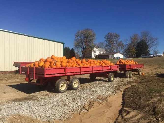 Photo #115 of BY ORDER OF RECEIVER, ASSETS OF KAMMAN'S FARMS, INC -  TRACTORS, BUSSES, TRUCKS, TRAILERS, IMPLEMENTS, ATTACHMENTS, SPRAYERS, IRRIGATION & PROCESSING EQUIP AND MORE!