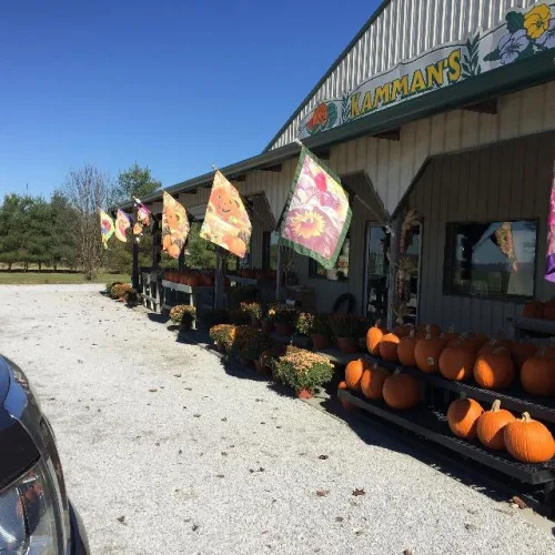Photo #178 of BY ORDER OF RECEIVER, ASSETS OF KAMMAN'S FARMS, INC -  TRACTORS, BUSSES, TRUCKS, TRAILERS, IMPLEMENTS, ATTACHMENTS, SPRAYERS, IRRIGATION & PROCESSING EQUIP AND MORE!