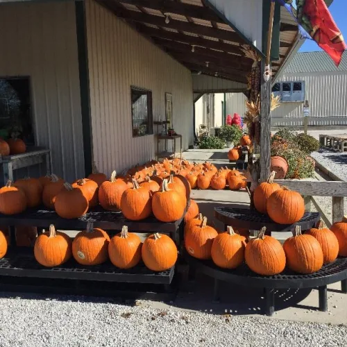Photo #179 of BY ORDER OF RECEIVER, ASSETS OF KAMMAN'S FARMS, INC -  TRACTORS, BUSSES, TRUCKS, TRAILERS, IMPLEMENTS, ATTACHMENTS, SPRAYERS, IRRIGATION & PROCESSING EQUIP AND MORE!