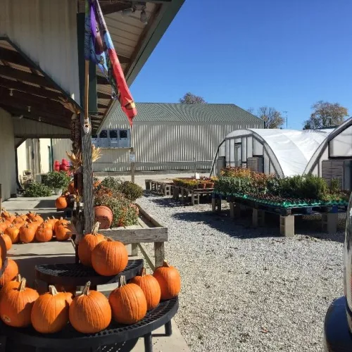 Photo #180 of BY ORDER OF RECEIVER, ASSETS OF KAMMAN'S FARMS, INC -  TRACTORS, BUSSES, TRUCKS, TRAILERS, IMPLEMENTS, ATTACHMENTS, SPRAYERS, IRRIGATION & PROCESSING EQUIP AND MORE!