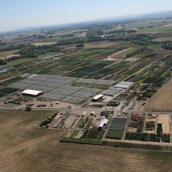 Aerial View of OR Farm