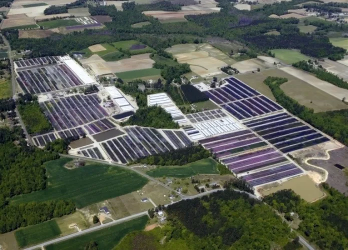 Photo #1 of GARDENS ALIVE FARMS - NC (EQUIPMENT AND LIVE PLANT INVENTORY) - 453 ACRE FARM SPECIALIZING IN SMALL FRUITS, GROUND COVERS, PERENNIALS AND ROSES, INCLUDING LARGE QUANTITY OF TRUCKS, TRAILERS & TRACTORS, JOHN DEERE & MASSEY FERGUSON TRACTORS, IRRIGATION