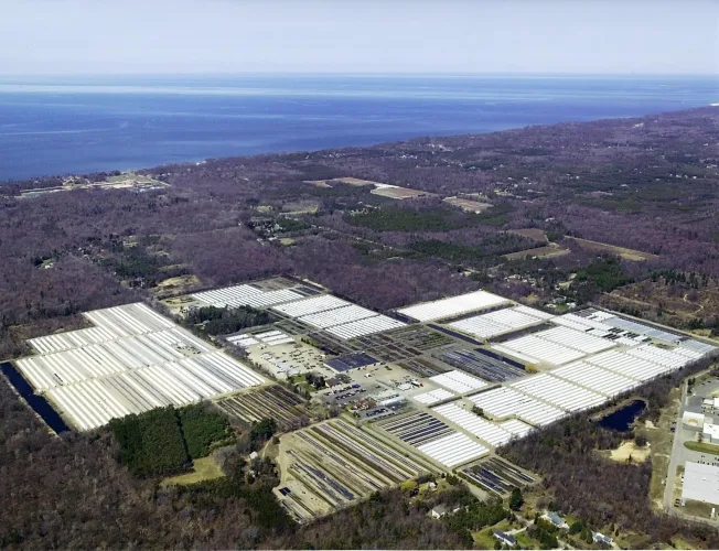 Photo #1 of GARDENS ALIVE FARMS - MI (LIVE PLANT INVENTORY) - 1,250 ACRE FARM GROWING A DIVERSE PRODUCT ASSORTMENT OF CONTAINER AND IN-GROUND EVERGREEN AND DECIDUOUS MATERIAL (MIDEAST AND NORTHEAST MARKET MIX).