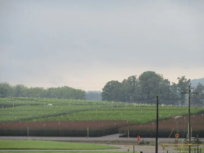 Photo #33 of GARDENS ALIVE FARMS - TN (EQUIPMENT) - EQUIPMENT AUCTION INCLUDES: LARGE QUANTITY OF JOHN DEERE TRACTORS, PICKUP TRUCKS, TRAILERS, WHEEL LOADERS, SKID STEERS, IRRIGATION EQUIPMENT, PUMPS, DUMP TRAILERS, WAGONS, GOLF CARTS & MUCH MORE