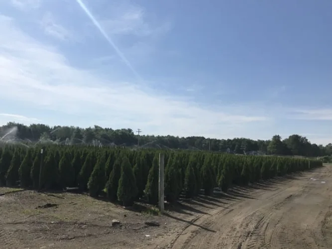 Photo #22 of GARDENS ALIVE FARMS - MI (EQUIPMENT) - EQUIPMENT AUCTION INCLUDES: 140+ JOHN DEERE TRACTORS, VOGEL ROOT DIGGER, CAT 120G MOTOR GRADER, WHEEL LOADERS, SKID STEER, TRENCHERS, PLOWS, BACKHOES, PUMPS, DUMP TRUCK, WAGONS, TRACTORS & TRAILERS,