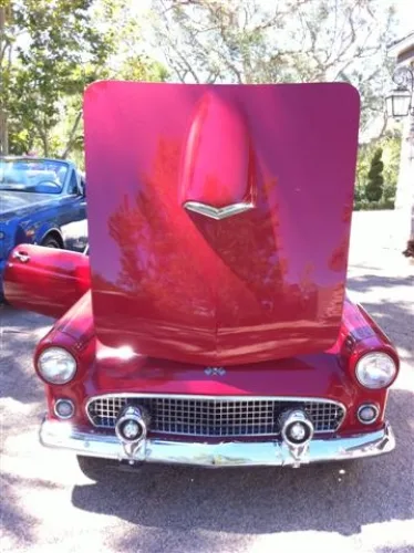 Photo #18 of ONLINE AUCTION! 1955 FORD THUNDERBIRD