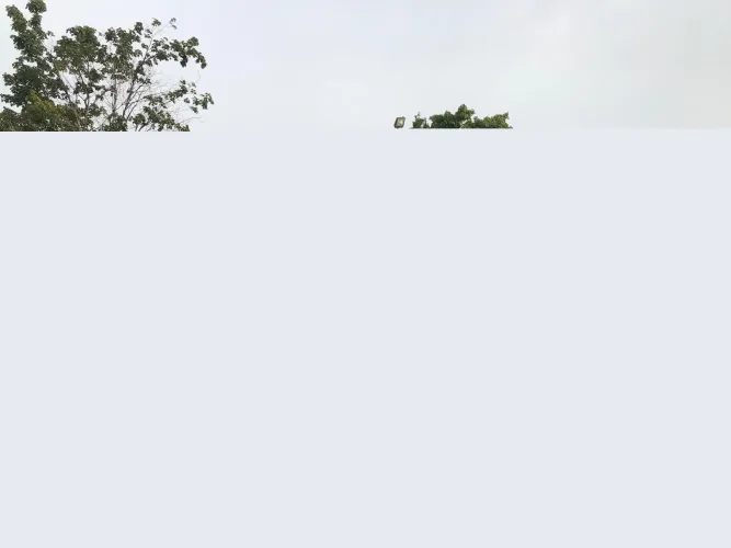 Photo #79 of GLOBAL WEBCAST AUCTION - CAVALLO BUS LINES INC. - UNPRECEDENTED HUGE, LATE-MODEL MOTOR COACH FLEET AVAILABLE FOR IMMEDIATE SALE - OVER 100 MOTOR COACH BUSES AS NEW AS 2017