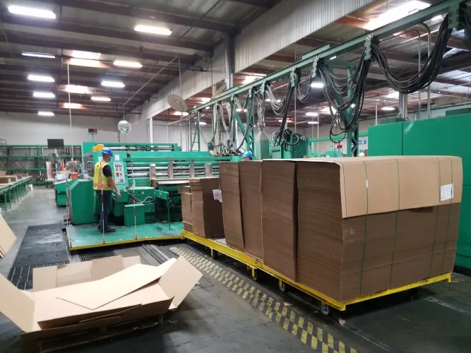 Photo #4 of MONTEBELLO CONTAINER COMPANY - SANTA FE SPRINGS, CA | CONVERTING FACILITY FEATURING 66" MCKINLEY FLEXO GLUER, 50" ISOWA FOLDER GLUER, 37" LANGSTON FLEXO GLUER AND BOBST 43" X 63" DIE CUTTER