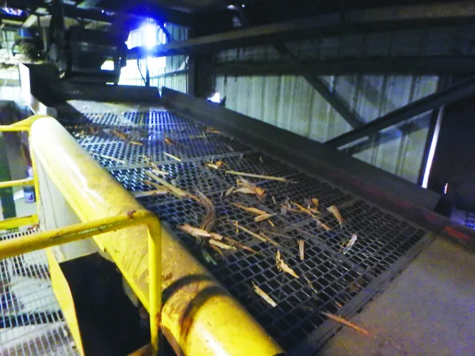 Photo #34 of SAWMILL AUCTION: 1994 NICHOLSON DEBARKER, HEADRIG & CARRIAGE, EDGERS, RESAWS, INFEED LOG HAUL & CUT OFF SAW, TIMBER SAW SYSTEM, PUSH PULL TRIMMER, CHIP SCREEN, BLOWER, FEEDER & VIBRATORY CONVEYOR & MUCH MORE - TWIN RIVERS CEDAR PRODUCTS LTD
